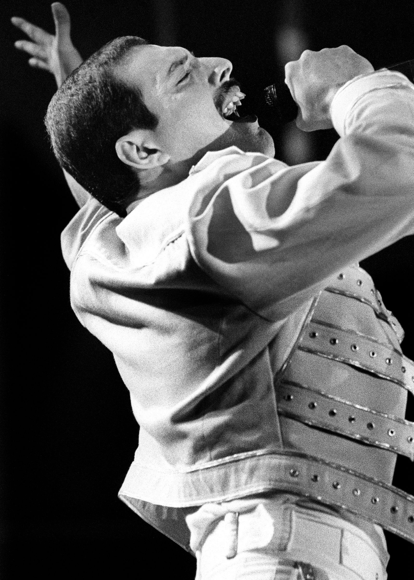 Freddie Mercury