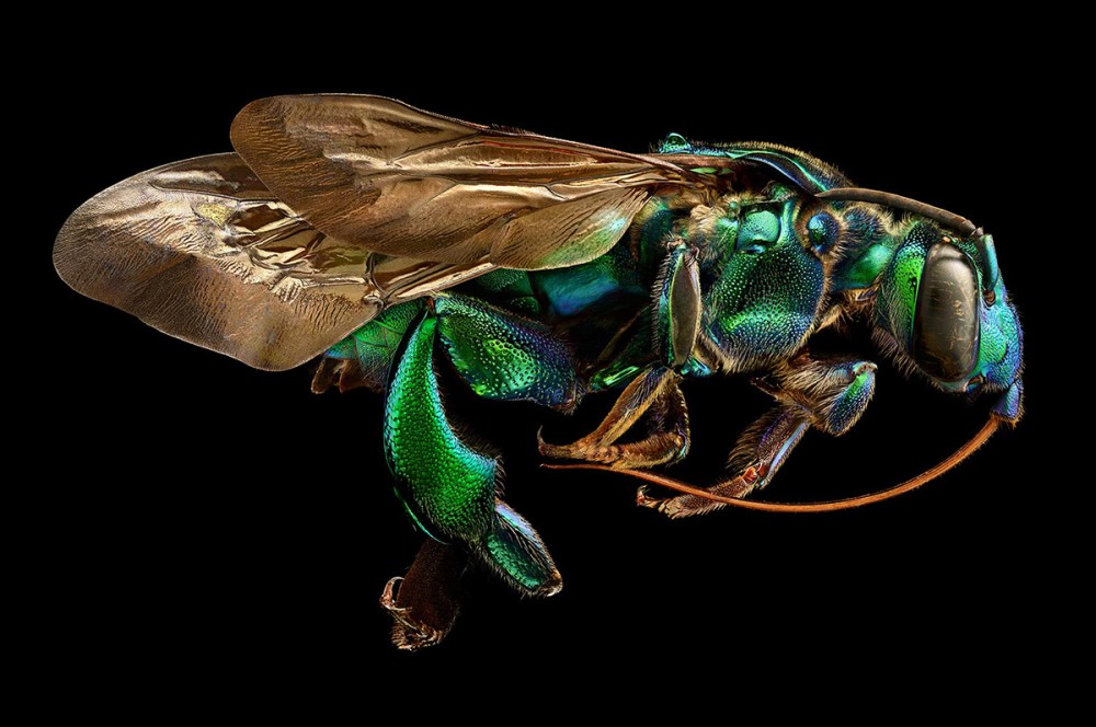 Microsculpture