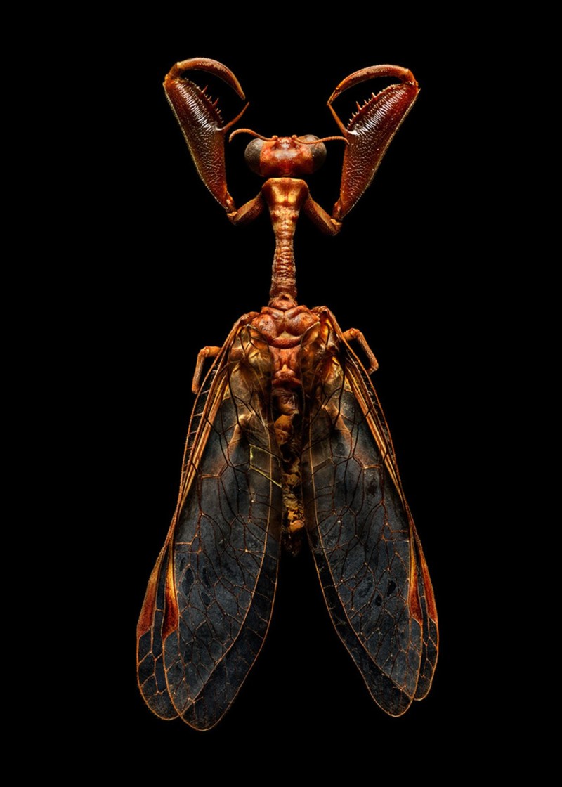 Microsculpture