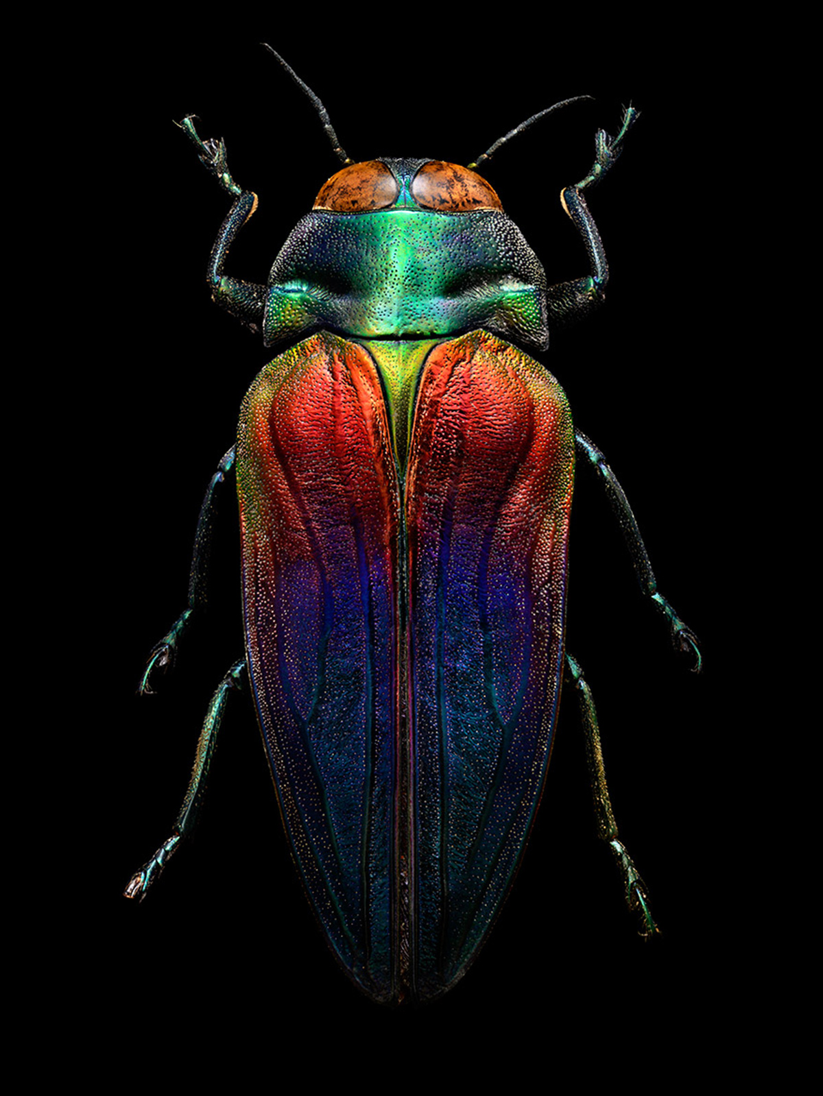 Microsculpture