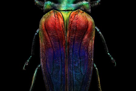 Microsculpture