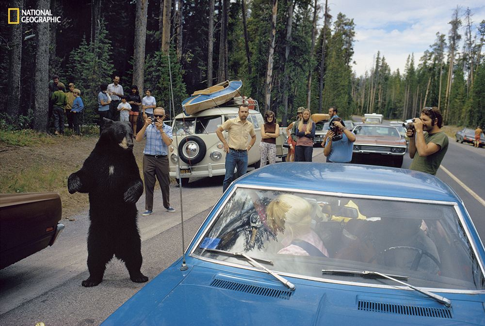PERMITTED USE: This image may be downloaded or is otherwise provided at no charge for one-time use for coverage or promotion of National Geographic magazine dated May 2016 and exclusively in conjunction thereof. No copying, distribution or archiving permitted. Sublicensing, sale or resale is prohibited. REQUIRED CREDIT AND CAPTION: All image uses must bear the copyright notice and be properly credited to the relevant photographer, as shown in this metadata, and must be accompanied by a caption, which makes reference to NGM. Any uses in which the image appears without proper copyright notice, photographer credit and a caption referencing NGM are subject to paid licensing. Mandatory usage requirements: Mandatory usage requirements: (Please note: you may select XX branded images for online use and XX images for print/unbranded) (it is okay to leave the XX's typically it would be 5 online and 3 for print, but this issue is not being set up as we typically would since the whole issue is devoted to one topic) (Anna will include this language in the body of text in the emails she sends and will populate the XX's then) 1. Include mandatory photo credit with each image ©Photographer name/National Geographic2. Show the May cover of National Geographic somewhere in the post (credit: National Geographic) unless using only one image3. Provide a prominent link to: (Anna will give you a link) at the top of your piece, ahead of the photos4. Mention that the images are from "the May issue of National Geographic magazine”