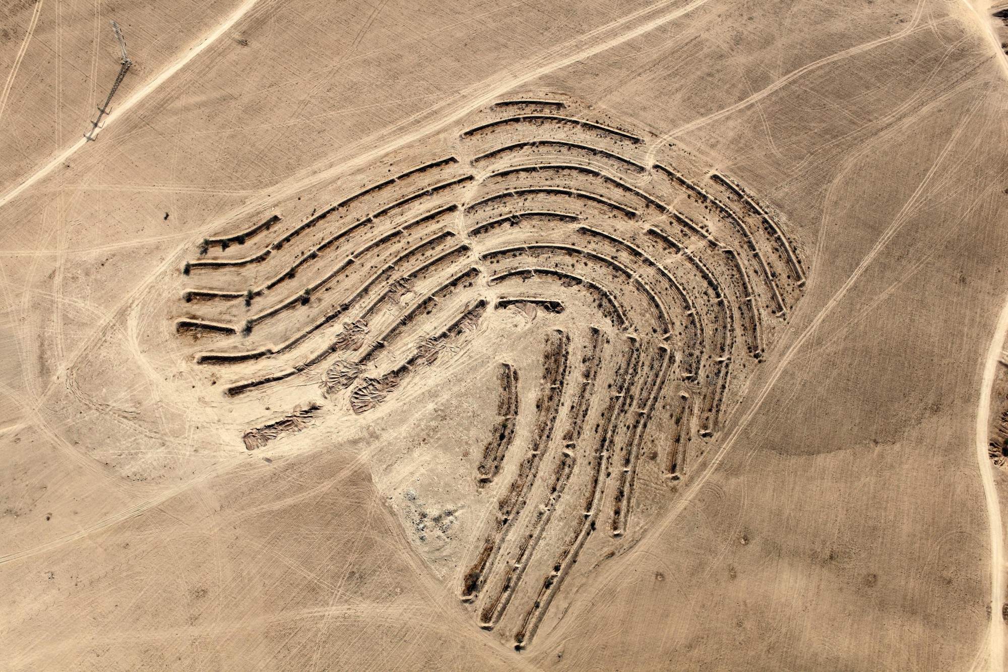 Desert Bloom Fazal Skeikh https://steidl.de/Books/The-Conflict-Shoreline-Colonization-as-Climate-Change-in-the-Negev-Desert-0821232758.html