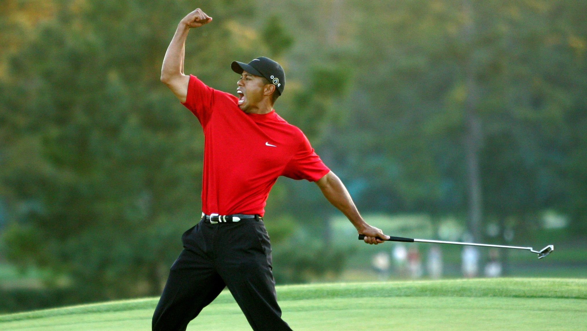 tiger woods