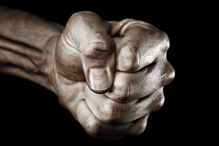 Fist
