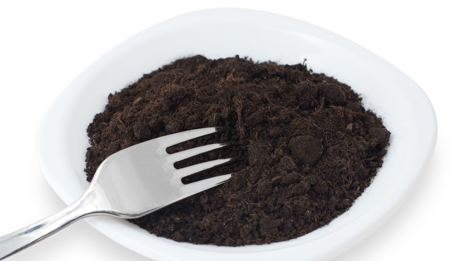 Plate of Dirt