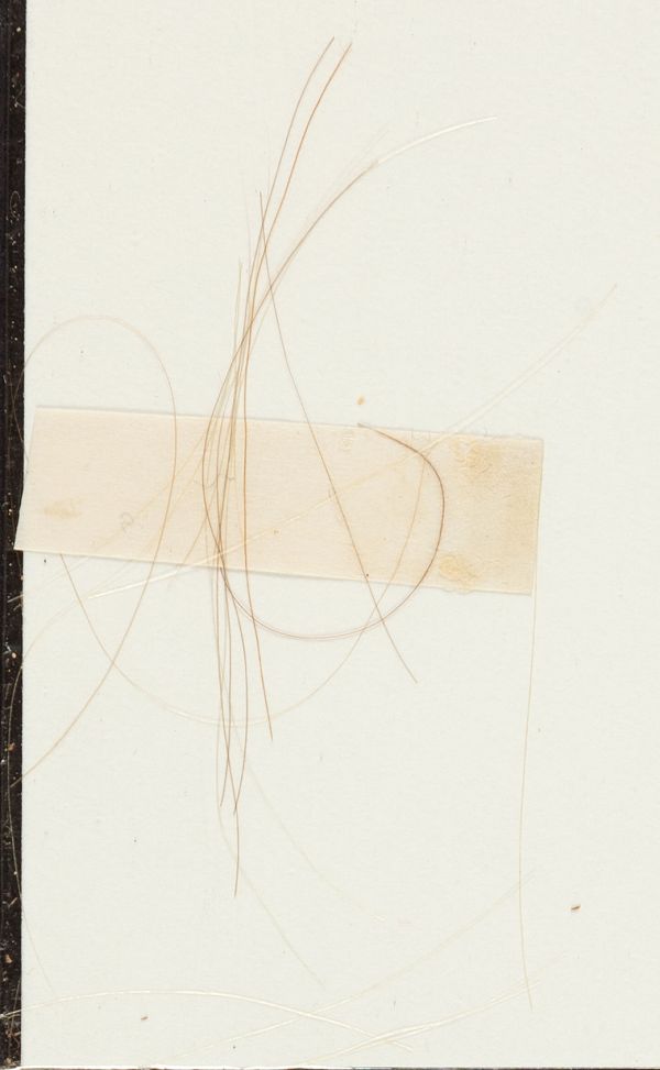 Thomas Jefferson's Hair
