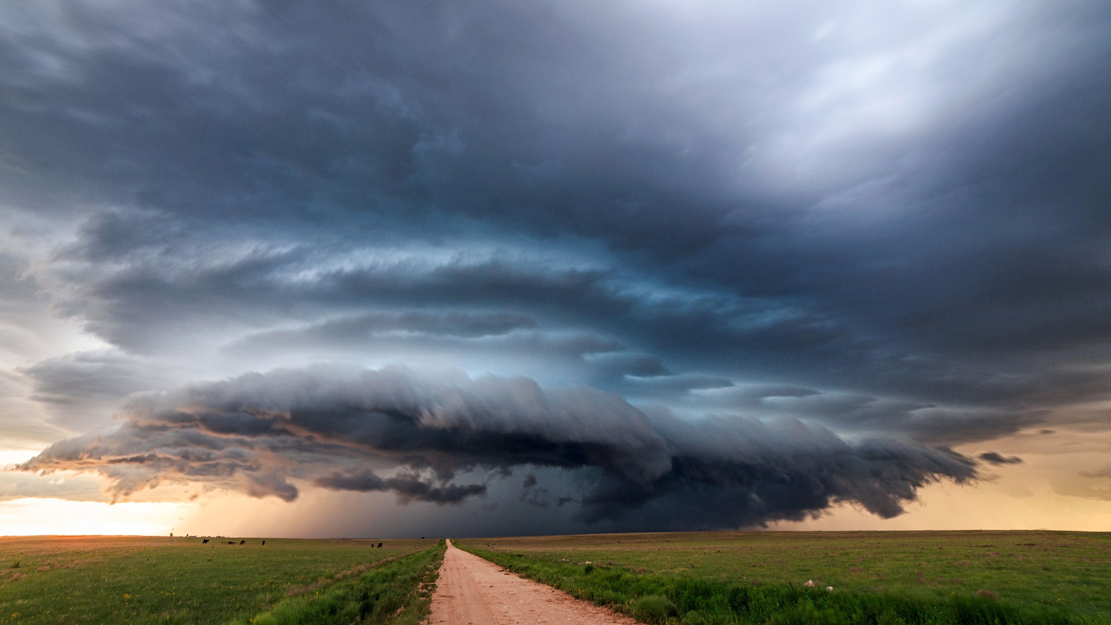 Tornado Alley