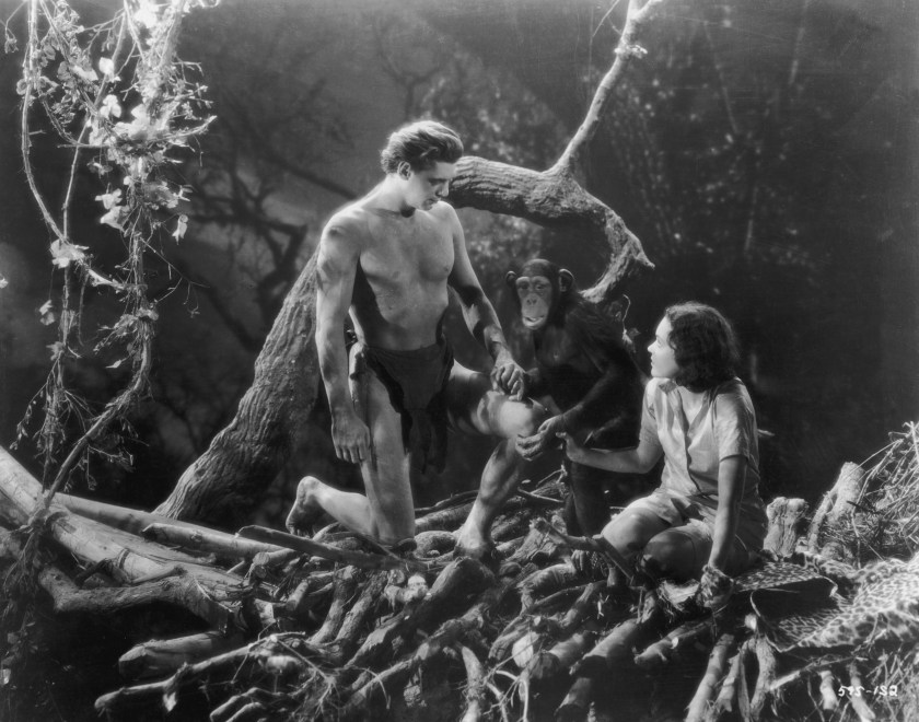Evolution of Tarzan 