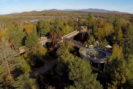 The Wild Center