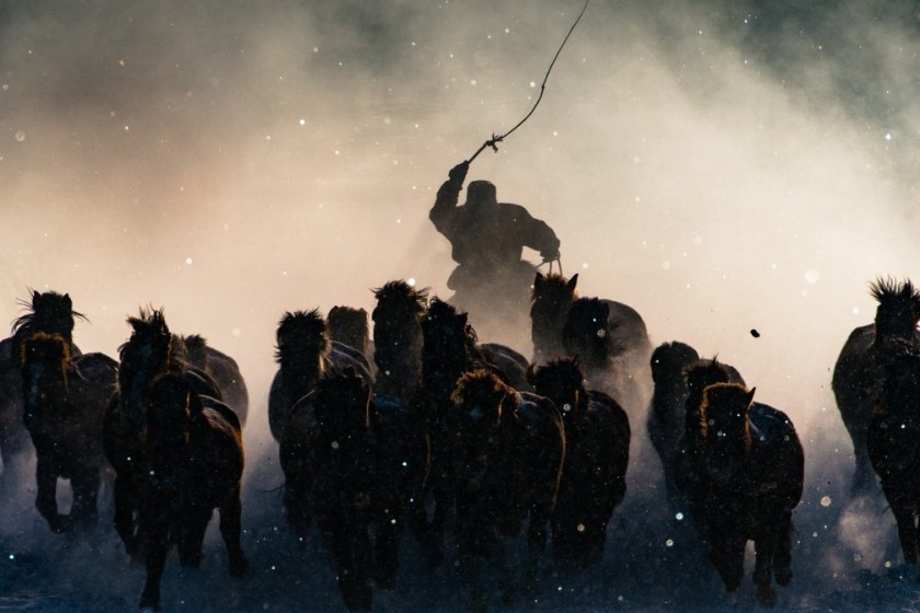 The Winter in Inner Mongolia is very unforgiving. At a freezing temperature of minus twenty and lower with constant breeze of snow from all direction, it was pretty hard to convince myself to get out of the car and take photos. Not until I saw Inner Mongolia horsemen showing off their skills in commanding the steed from a distance, I quickly grab my telephoto lens and capture the moment when one of the horseman charged out from morning mist .