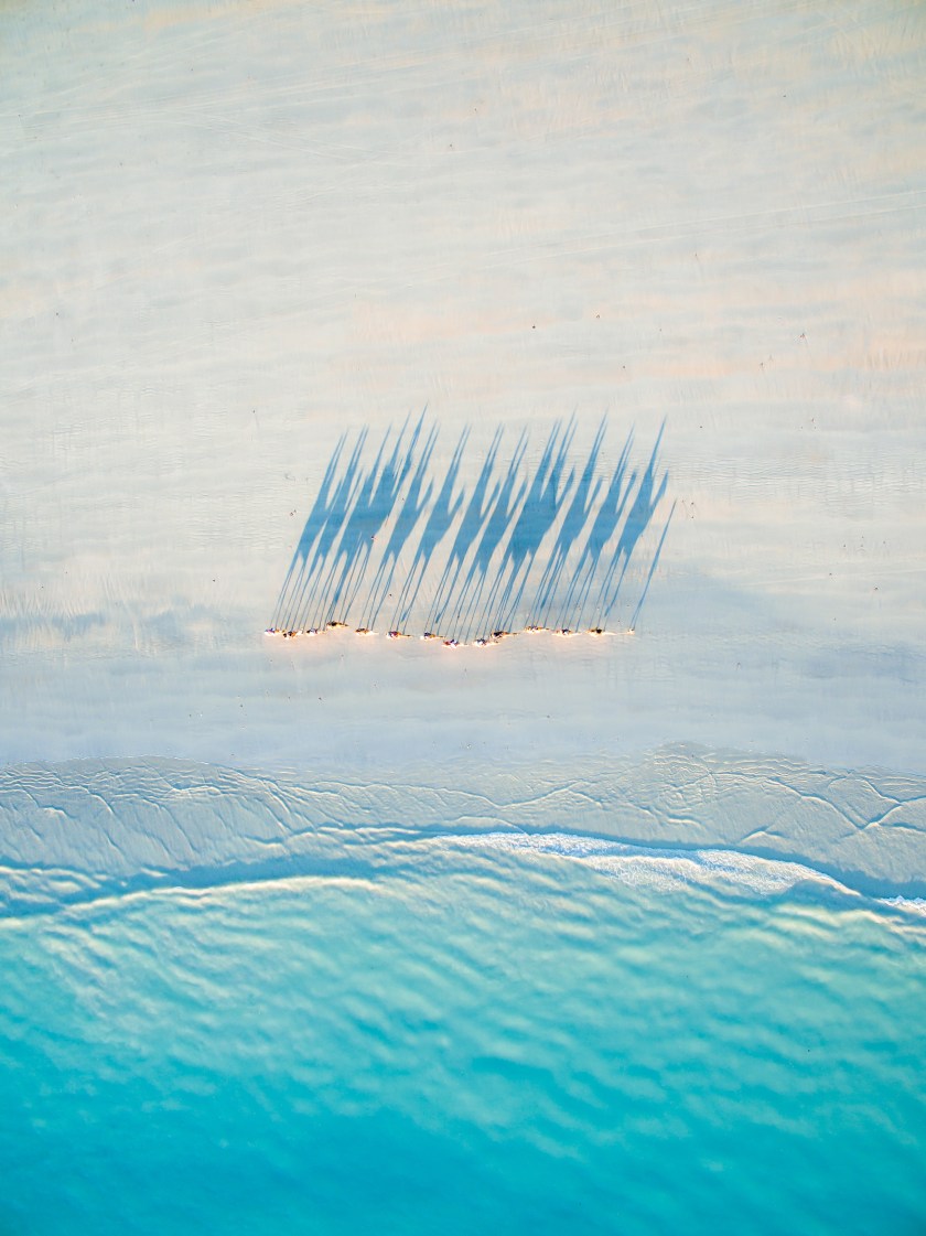 Second Prize Travel: Camels on Cable Beach in Australia (Todd Kennedy)