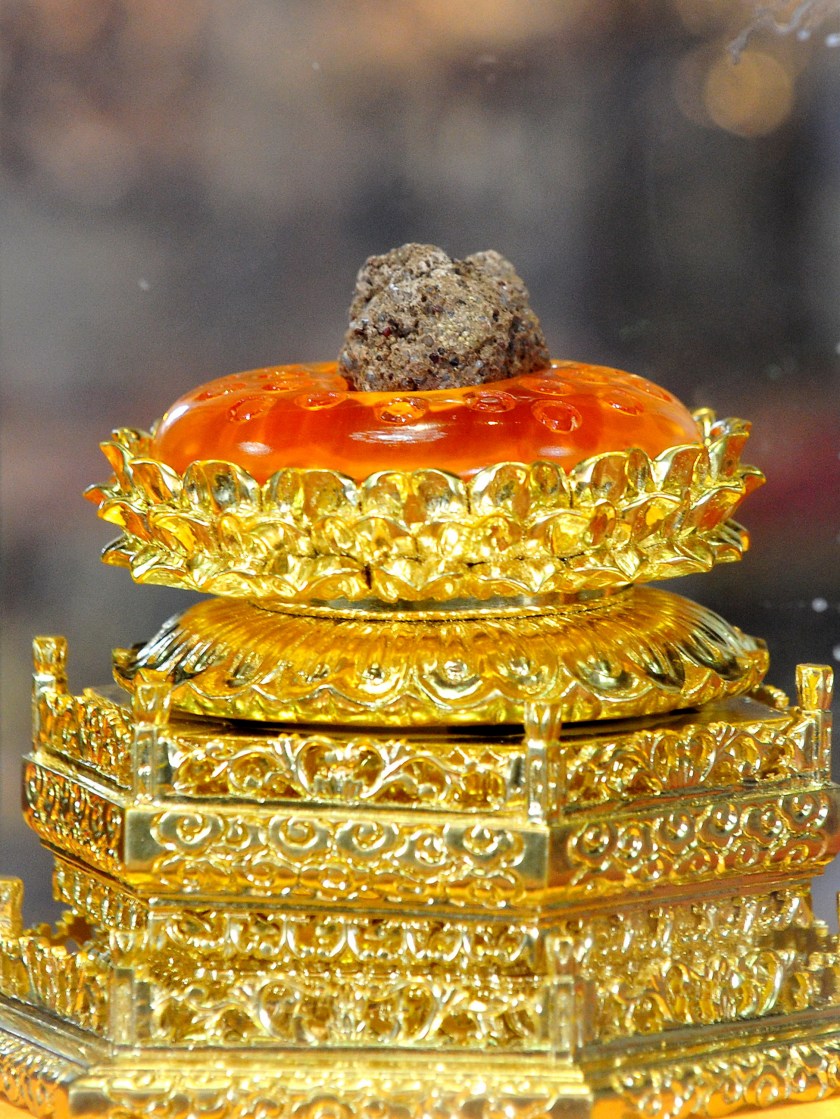 Buddha's Remains