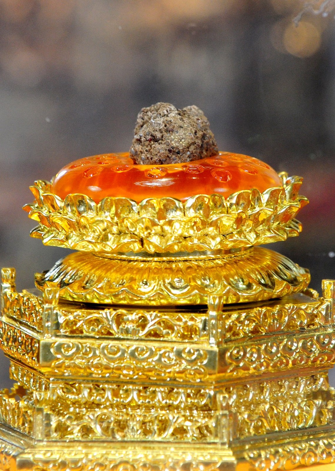 Buddha's Remains