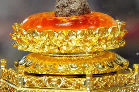 Buddha's Remains