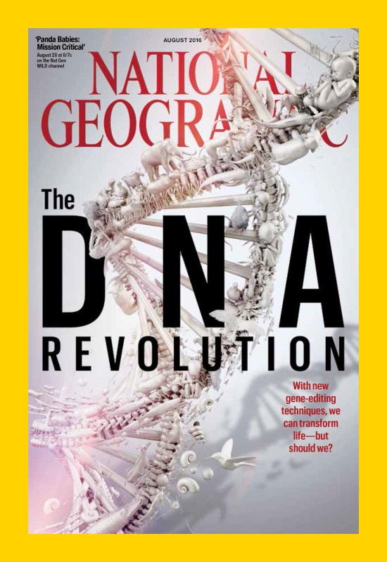 Cover of National Geographic magazine's August Issue (© Ami Vitale/National Geographic) 
