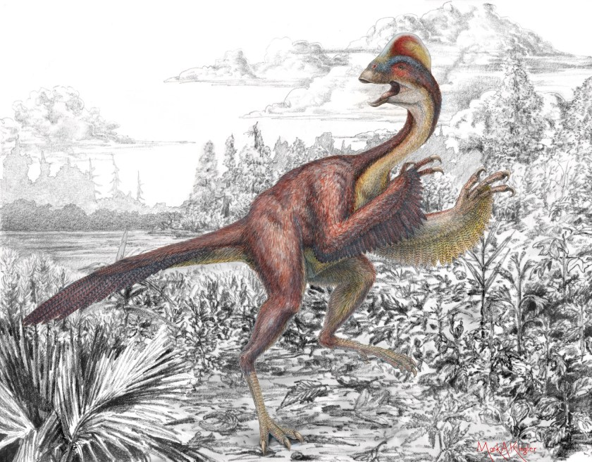 Dinosaur Bird