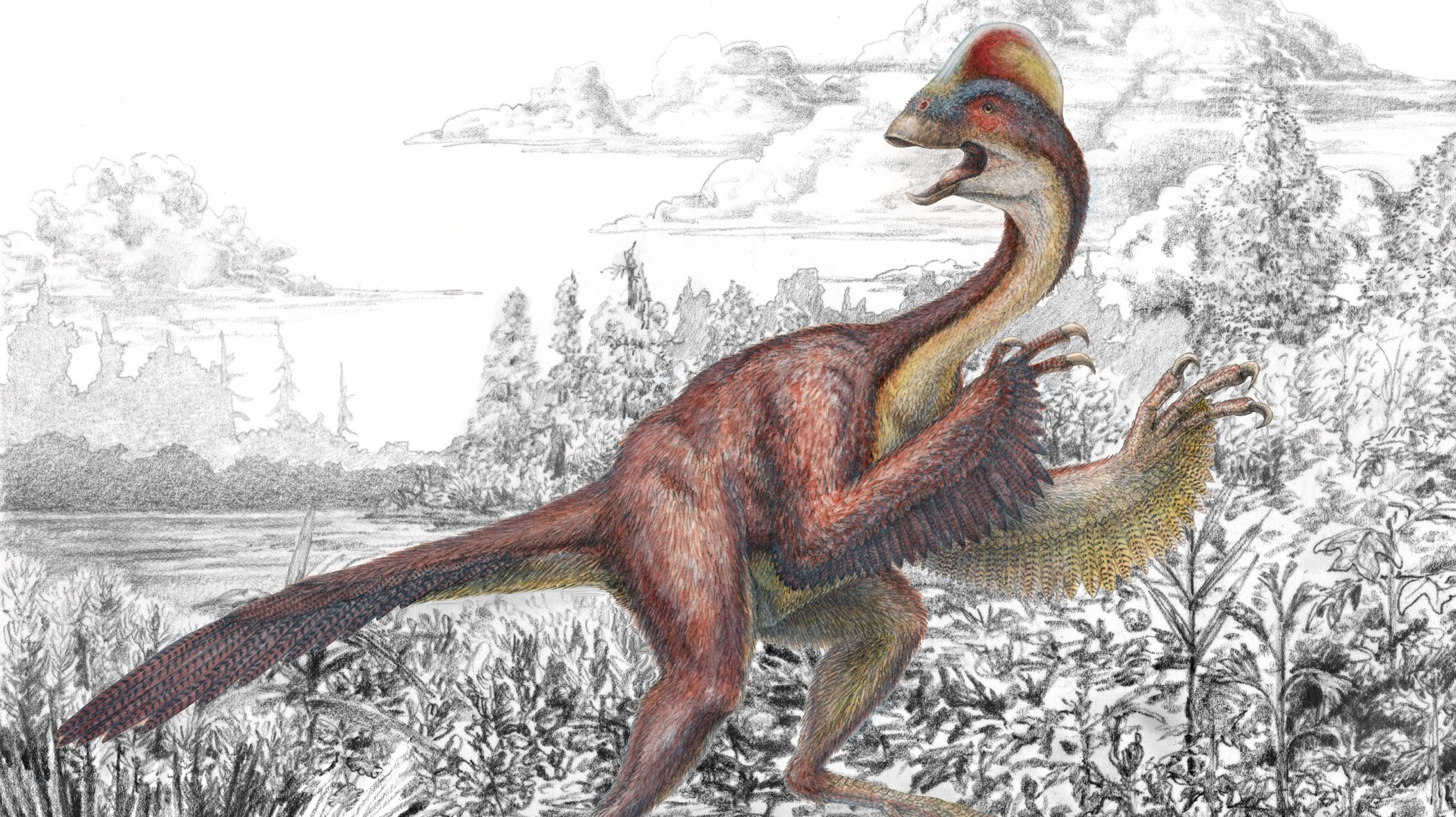 Dinosaur Bird
