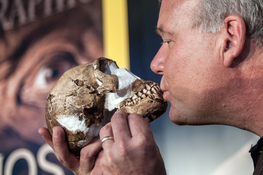 Professor Lee Berger kisses a replica of the skull of a Homo Naledi , a newly discovered human ancestor during the unveiling of the discovery on September 10, 2015 in Maropeng. A new species of human ancestor, Homo naledi, estimated at about 2.5 to 2.8 million years old was discovered at the "Cradle of Humankind", about 50 kilometres northwest of Johannesburg. At about 5 feet tall and only 100 or so pounds, and with a brain only about the size of an average orange, H. naledi is a startling combination of australopith-like and human-like features that, until now, was entirely unknown to science, researchers said. AFP PHOTO/STEFAN HEUNIS (Photo credit should read STEFAN HEUNIS/AFP/Getty Images)
