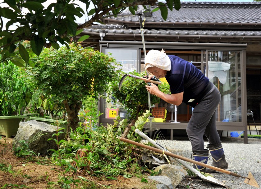 Toshimi Sato, 64, tidies up the garden of his house as the evacuation order was removed on September 5, 2015 in Naraha, Japan. (The Asahi Shimbun via Getty Images)
