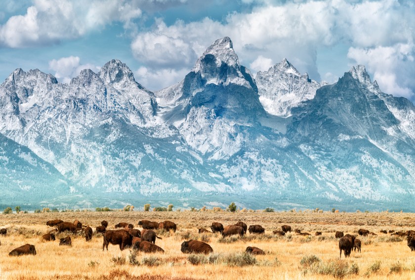 (Matt Anderson Photography/Creative RF/Getty Images)