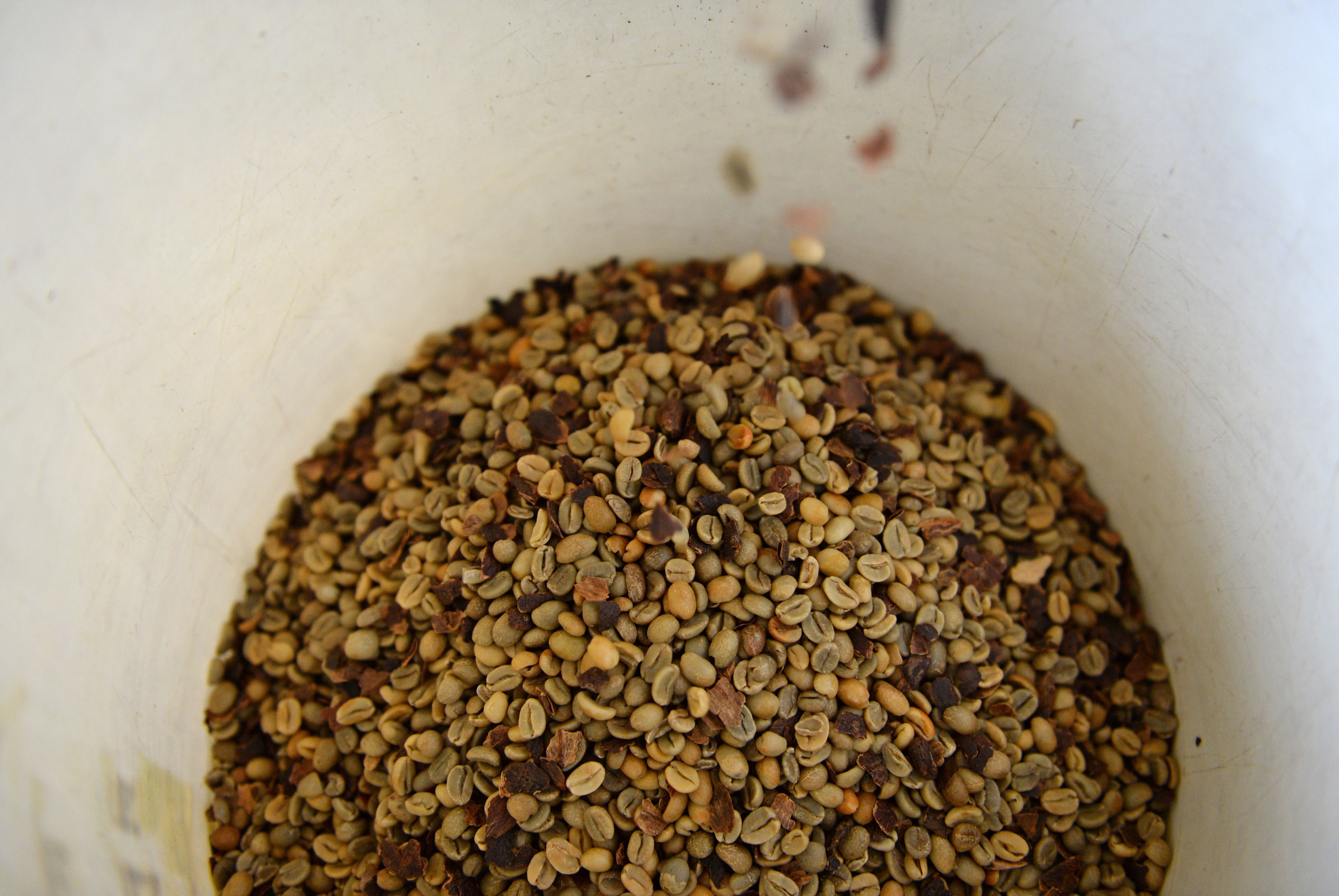 Freshly peeled Arabica coffee beans collect in a bucket at the Solok Radjo Cooperative coffee farm in Alahan Panjang, West Sumatra, Indonesia, on Friday, July 15, 2016. Coffee production in Indonesia will probably drop 10 percent this year after dry weather caused by the worst El Nino in almost two decades damaged some crops and delayed the harvest. (Dimas Ardian/Bloomberg via Getty Images)