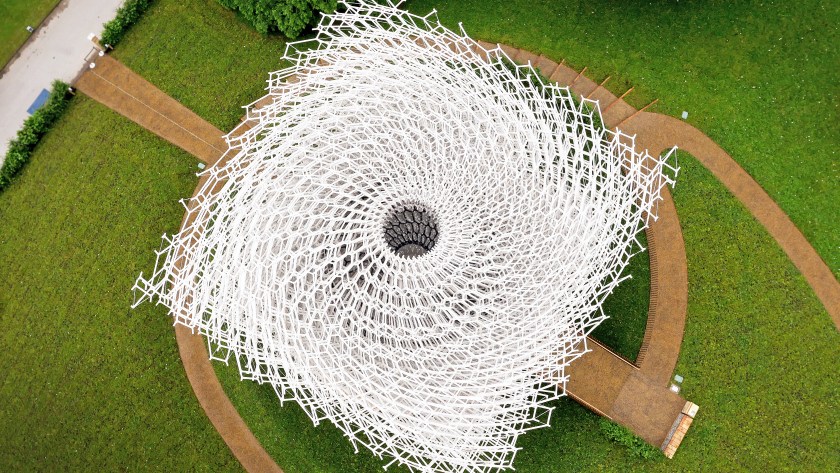 The Hive