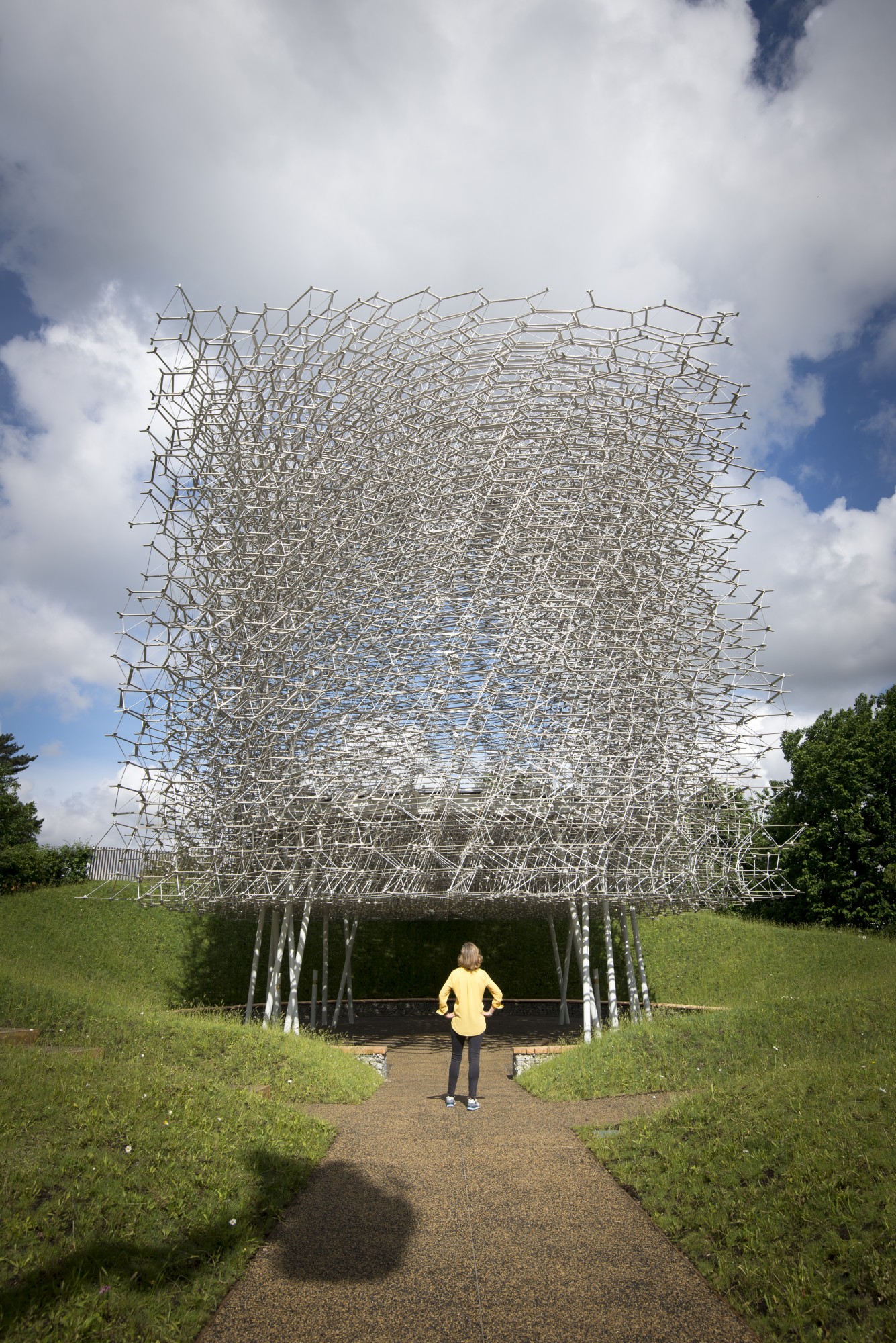 The Hive