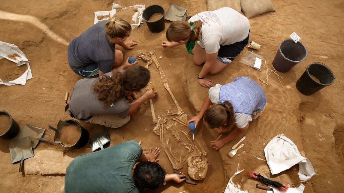 A team of foreign archaeologists extract skeletons at the excavation site of the first Philistine cemetery ever found on June 28, 2016 in the Mediterranean coastal Israeli city of Ashkelon.
With an excavation in southern Israel unearthing a Philistine cemetery for the first time, bones of the biblical giant Goliath's people can finally shed new light on mysteries of their culture. The cemetery's discovery marks the "crowning achievement" of some three decades of excavations in the area, the expedition's organisers say.


 / AFP / MENAHEM KAHANA / TO GO WITH AFP STORY BY DAPHNE ROUSSEAU        (Photo credit should read MENAHEM KAHANA/AFP/Getty Images)