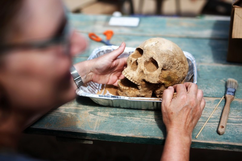 US anthropologist and pathologist, Sherry Fox shows a skull discovered at the excavation site of the first Philistine cemetery ever found on June 28, 2016 in the Mediterranean coastal Israeli city of Ashkelon. With an excavation in southern Israel unearthing a Philistine cemetery for the first time, bones of the biblical giant Goliath's people can finally shed new light on mysteries of their culture. The cemetery's discovery marks the "crowning achievement" of some three decades of excavations in the area, the expedition's organisers say. / AFP / MENAHEM KAHANA / TO GO WITH AFP STORY BY DAPHNE ROUSSEAU (Photo credit should read MENAHEM KAHANA/AFP/Getty Images)