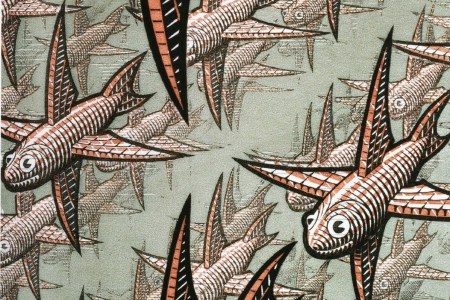 (M.C. Escher/Taschen)