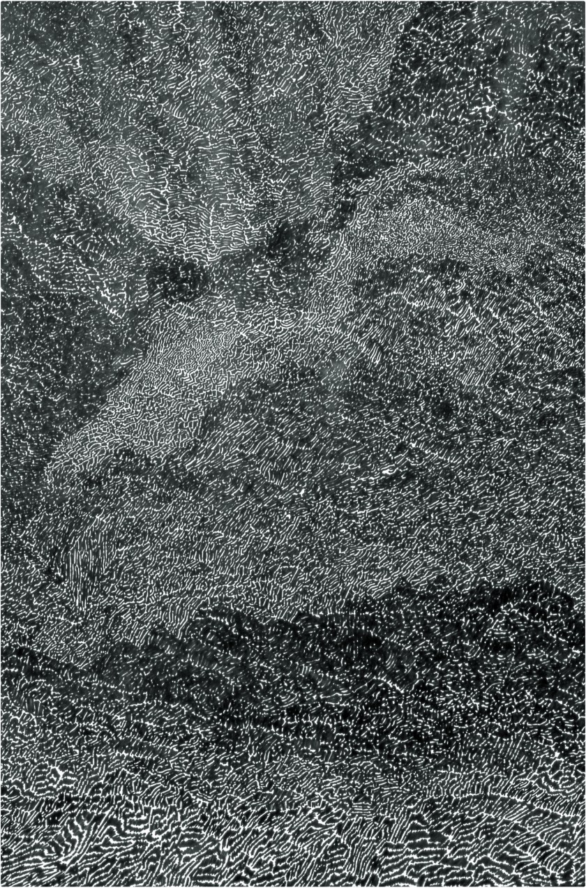 "Untitled," 1966. Felt-tip pen on paper. (Conner Family Trust, San Francisco / Artists Rights Society (ARS), New York)