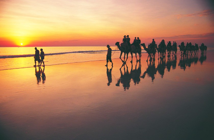 Camel trek on Cable Beach at sunset (Courtesy Western Australia Tourism)