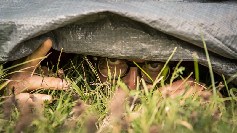 Hide-and-Seek World Championship