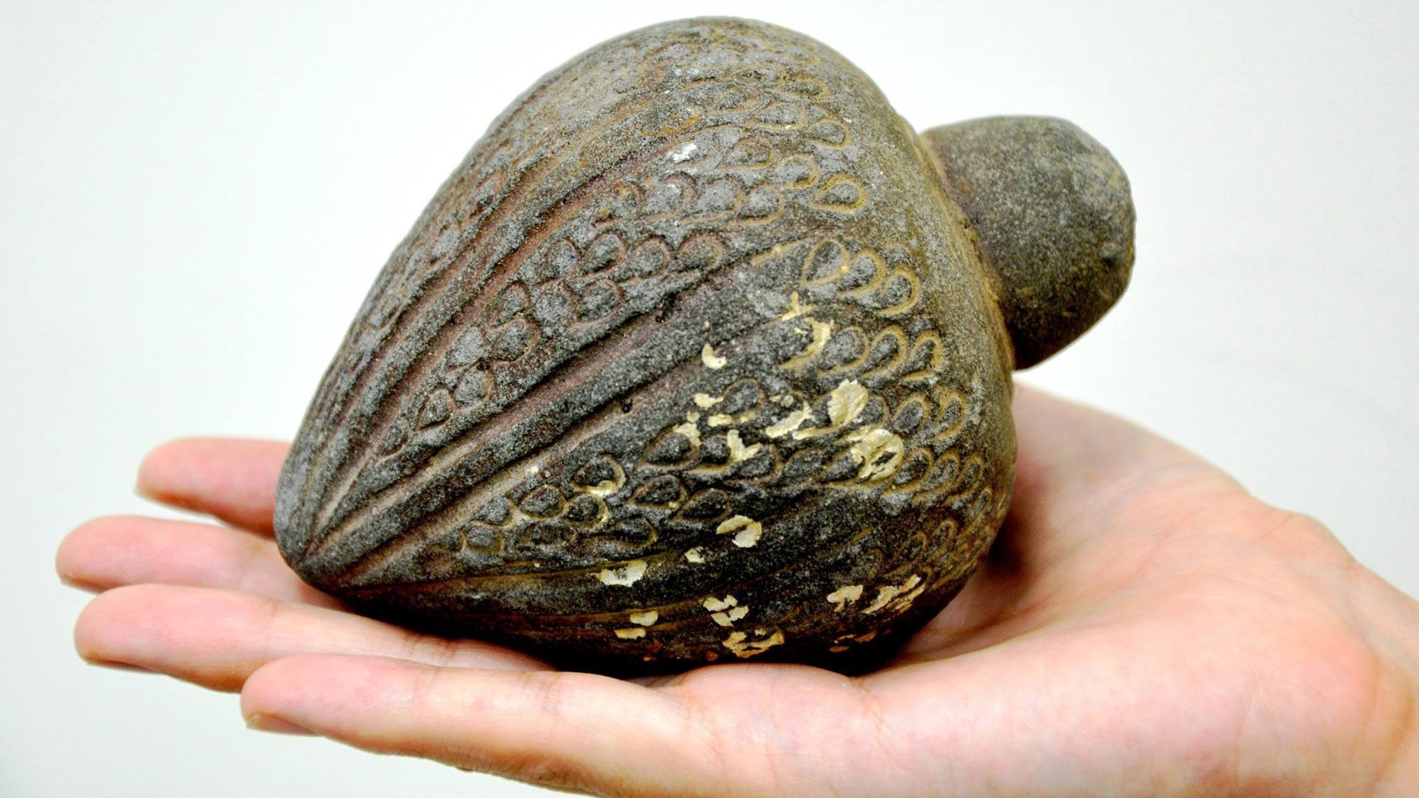 (Israel Antiquities Authority)