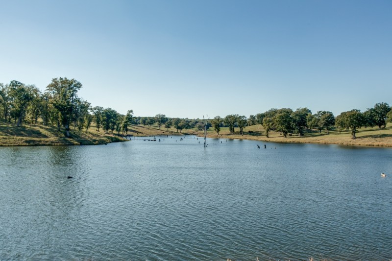 Terry Bradshaw Estate