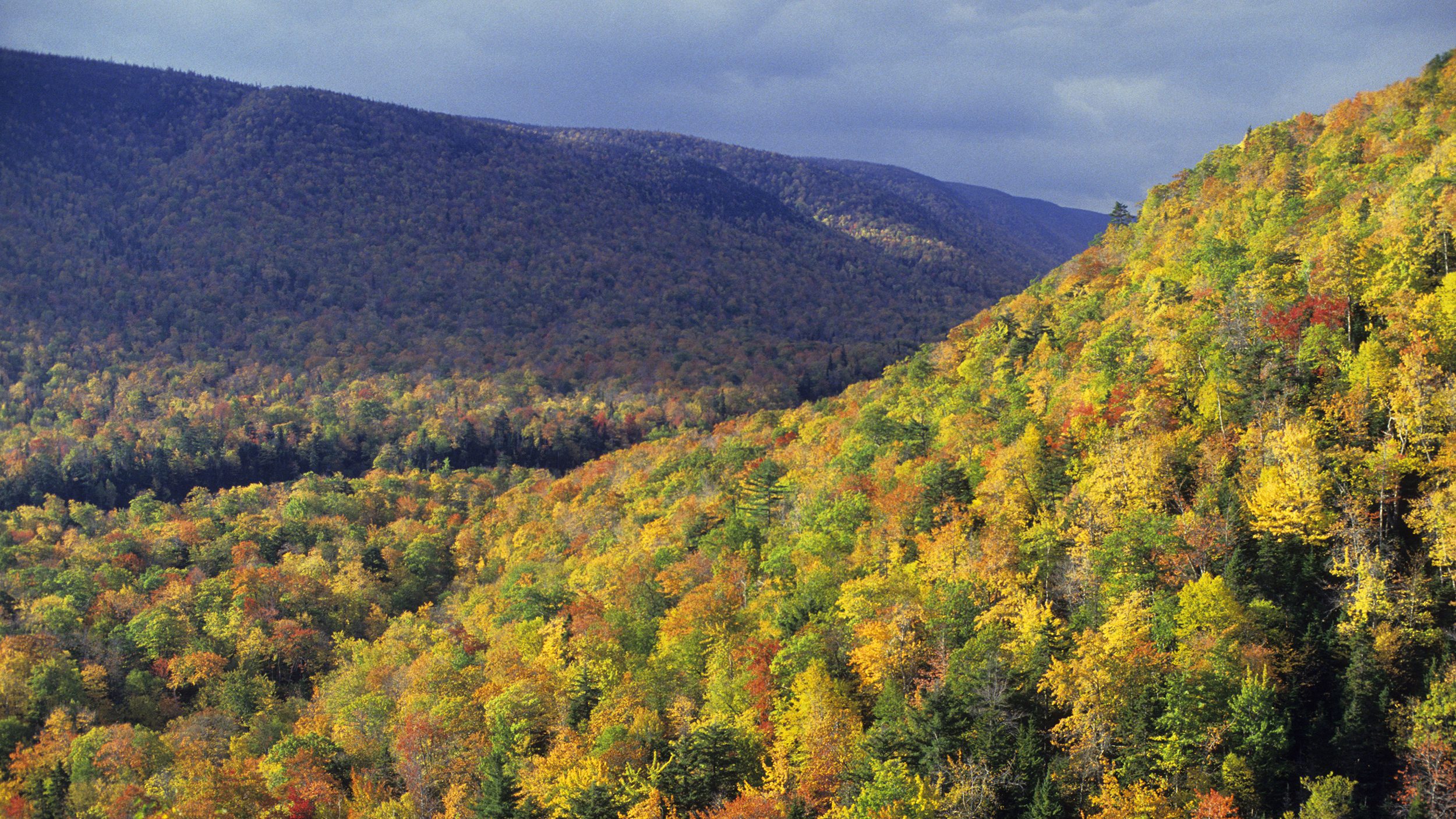 Cape Breton Highlands National Park  (Wolfgang Kaehler/LightRocket via Getty Images)