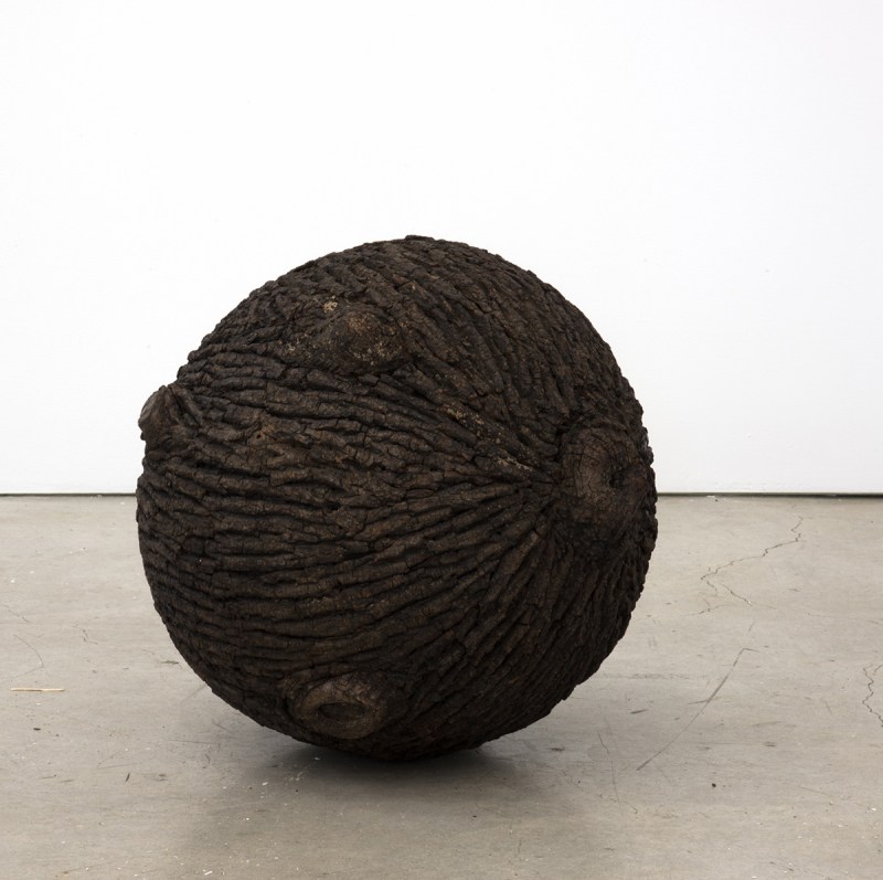 Lars Fisk