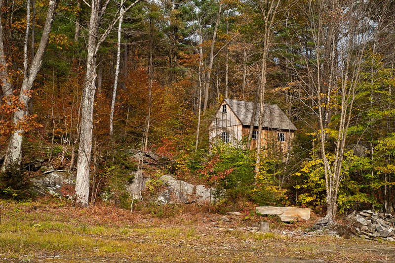Secluded Cabin