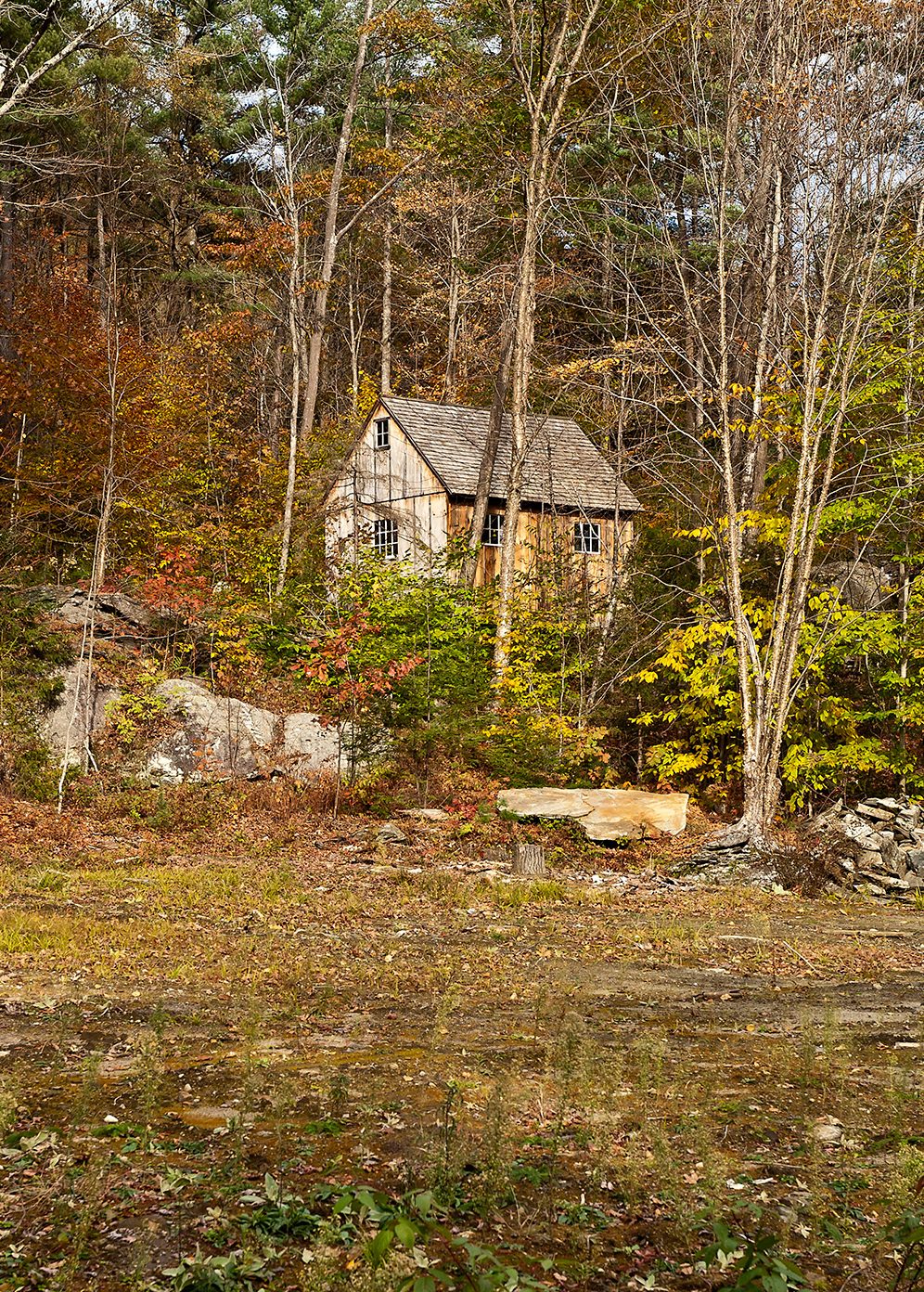 Secluded Cabin