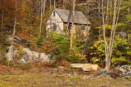 Secluded Cabin