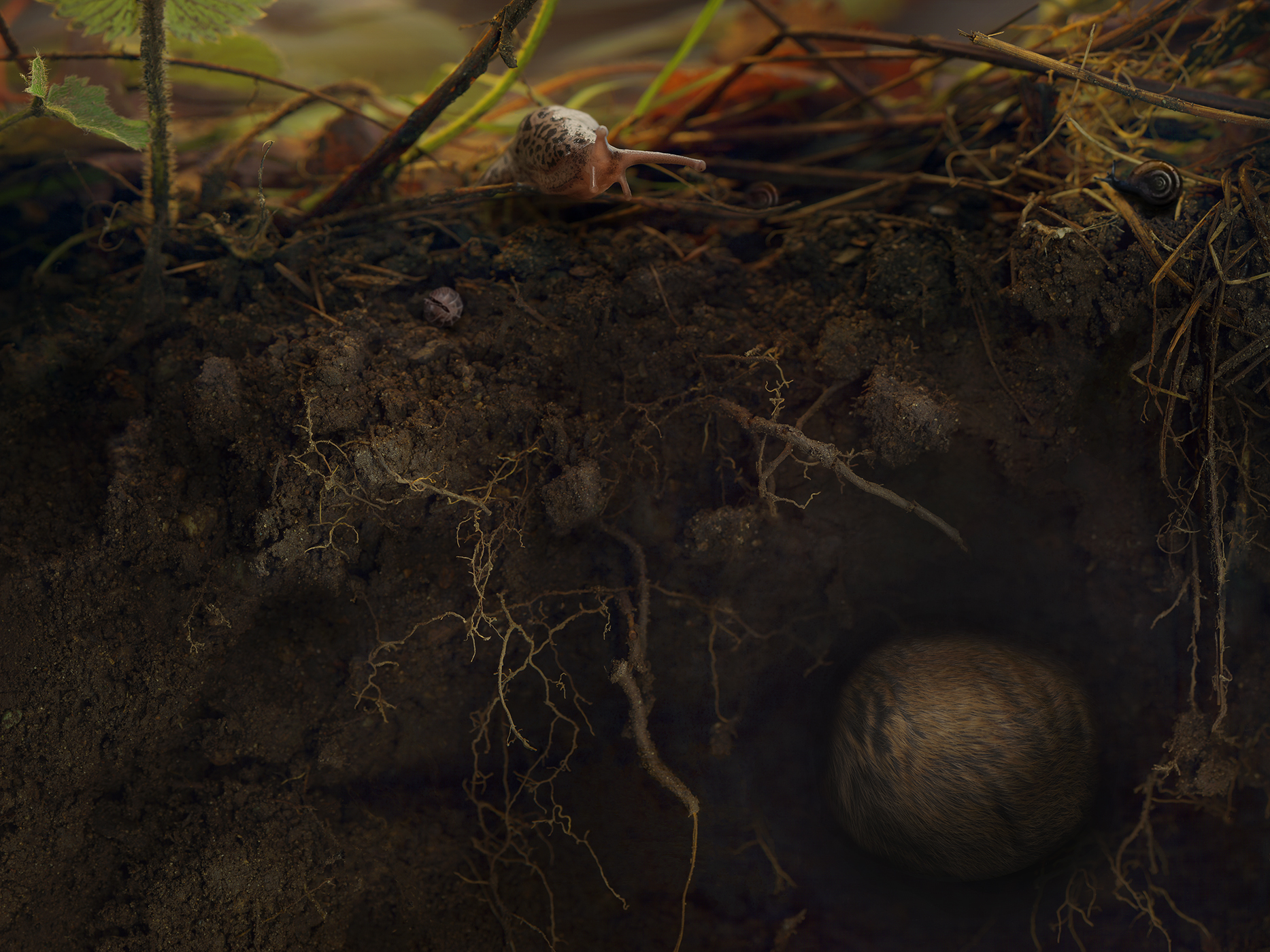 Underneath the Strawberries (Melinda Hurst Frye)