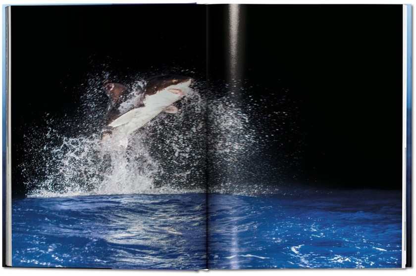 (Taschen)