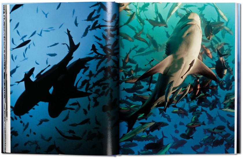 (Taschen)