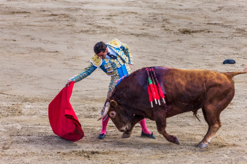 Spain, Castilla y Leon, Segovia . Festividad (festivity) de San Pedro y San Pablo, Corrida de Toros (bullfight)