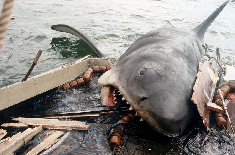 Jaws Live
