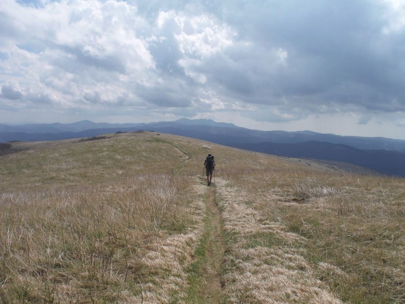 Appalachian Trail 