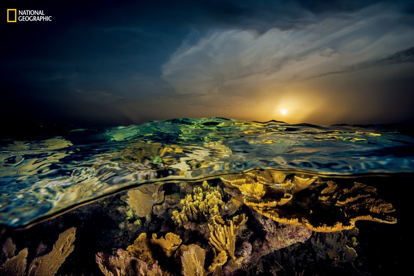 "Sunset casts a golden glow" over corals flourishing off the country’s southern coast. Named by Christopher Columbus in honor of Queen Isabella, this remote set of keys, mangroves, and reefs appears nearly unchanged by time and human hand." (David Doubilet and Jennifer Hayes / National Geographic)