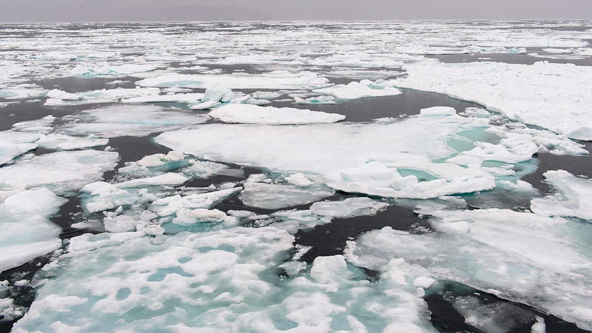 Arctic Sea