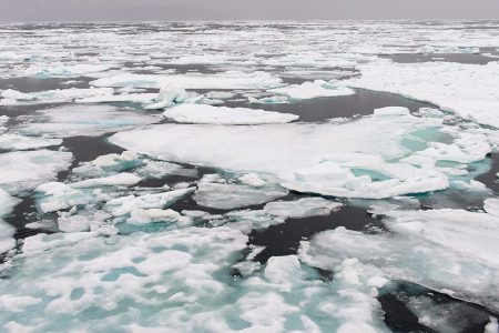 Arctic Sea